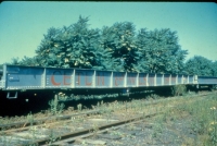 The Oldest known surviving flatcar still sitting outside the car barns at the Circus World Museum. It has a rich history including being on the Cetlin and Wilson Shows, being bought by Royal American.jpg