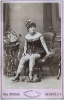 Tattooed lady....1880's.jpg