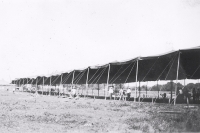Stock tent on the Miller Bros. 101 Ranch Wild West Shows...1930's.JPG