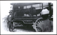 Sparks Lion Cage...1928.JPG