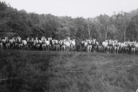 Sparks Circus baggage stock 1927.jpg