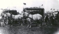 Sparks Circus cage wagons and white horses 1928.jpg