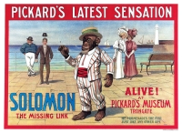 Solomon...1908.JPG