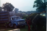 Some things never change. An elephant drags a sticking truck on a muddy lot ...1971.JPG