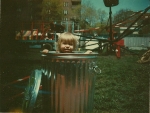 Virginia Rivera on Rocky Dells Great American Shows. Hartford Conn. 1970's.jpg