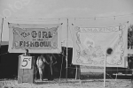 girl in the goldfish bowl illusion show 1930's.jpg