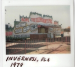 Elephant pig 1978.jpg