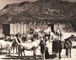 Gee-Gee Engesser roman riding 16 horse hitch.jpg
