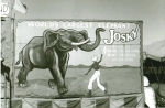Josky banner.jpg