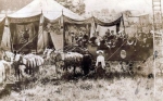 Turn of the century band wagon.jpg