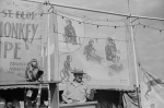 monkey bannerline.jpg
