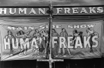 10-1 Side Show Human Freaks Banner 1940's