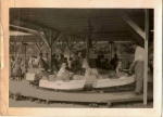 Mangles boat ride.JPG