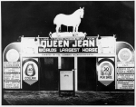 Large horse show.jpg
