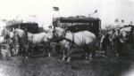 Sparks Circus cage wagons and white horses 1928.jpg