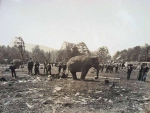 Walter L. Main train wreck of 1893. 5.jpg