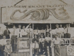Snake show 1910.JPG