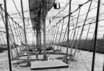 Under the 'Big Top' 1940.jpg