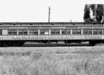 '50th Annivarsary Tour' paint on a Jonny J.Jones Coach