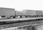 Johnny J.Jones on the flats 1940's.jpg