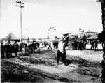 early 1900's midway ( show unknown).jpg